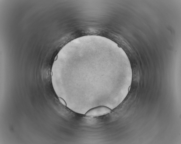 X0000111240425200908131149