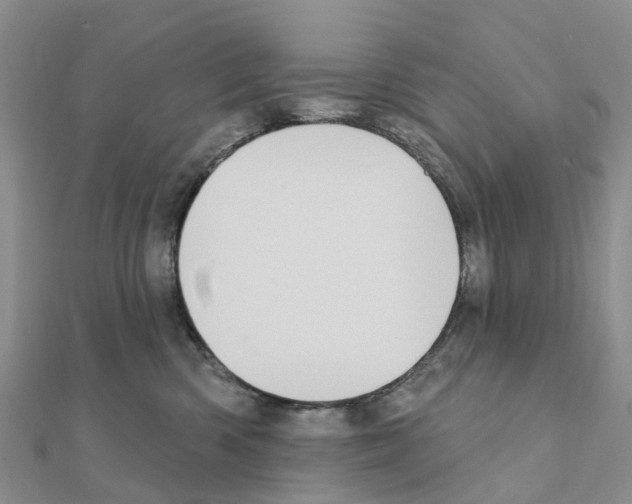 X0000111240426200908131149