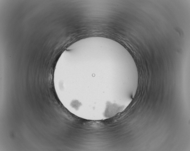 X0000111240427200908131149