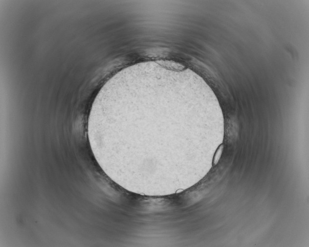 X0000111240428200908131149