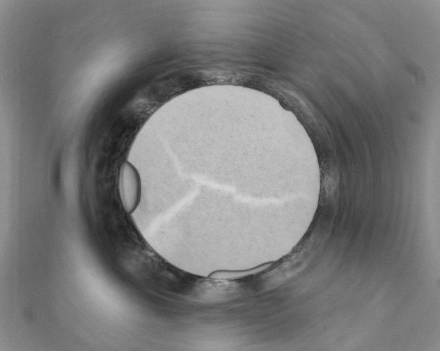 X0000111240429200908131149