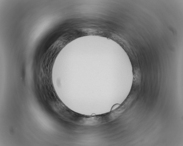 X0000111240430200908131149