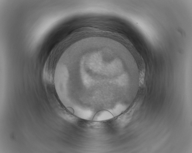 X0000111240431200908131149
