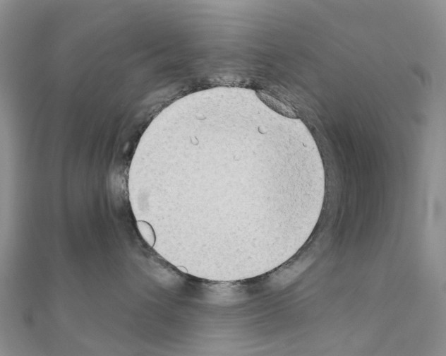 X0000111240432200908131149