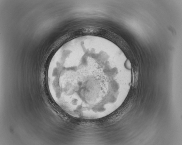 X0000111240435200908131148