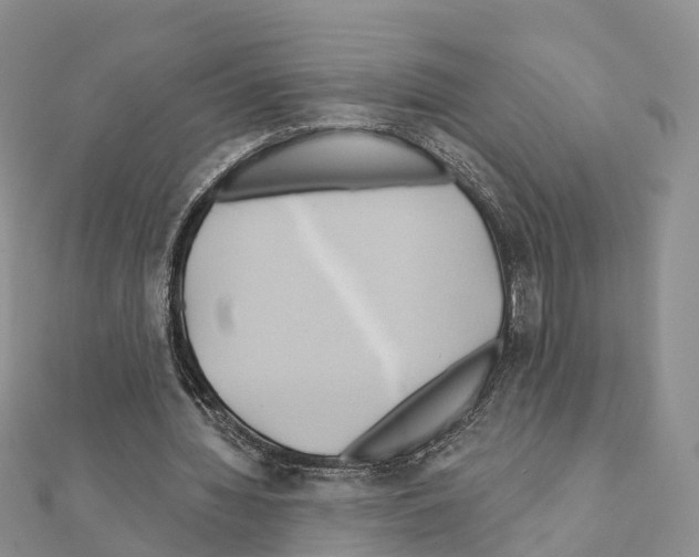 X0000111240436200908131148