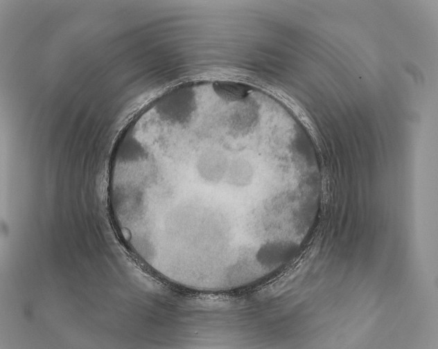X0000111240437200908131148