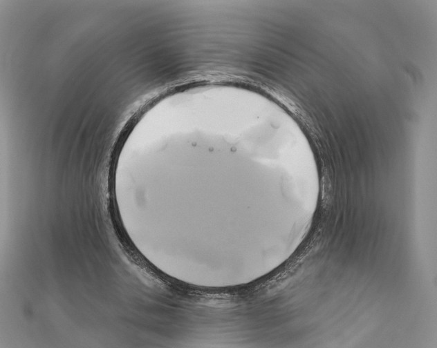 X0000111240438200908131148