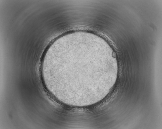 X0000111240439200908131148