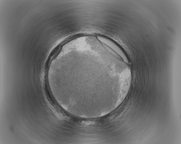 X0000111240440200908131148