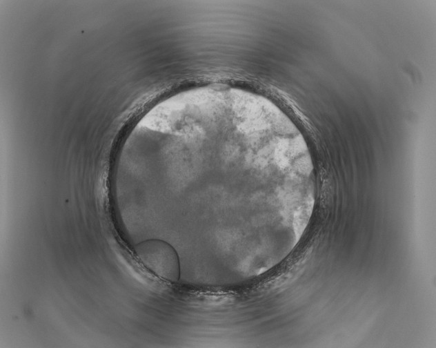 X0000111240443200908131148