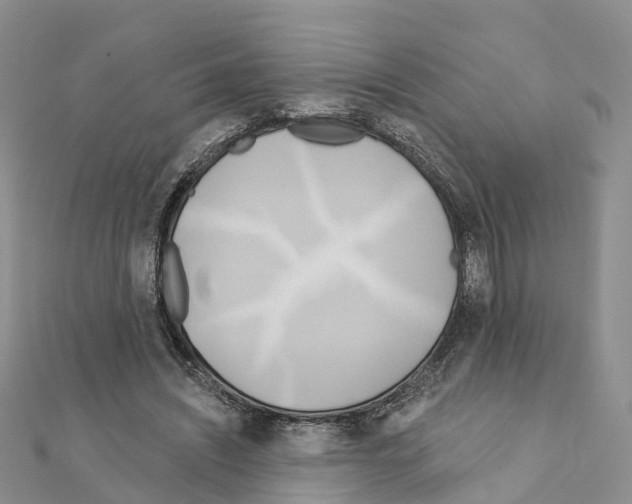 X0000111240444200908131148