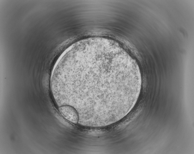 X0000111240445200908131148