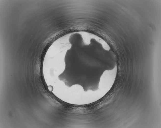 X0000111240446200908131148