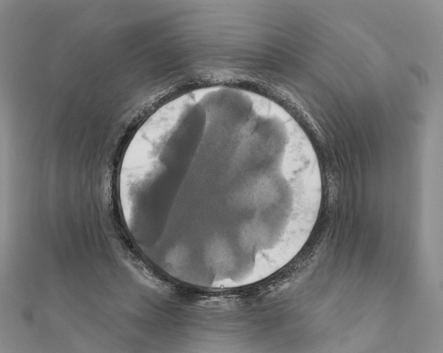 X0000111240447200908131148