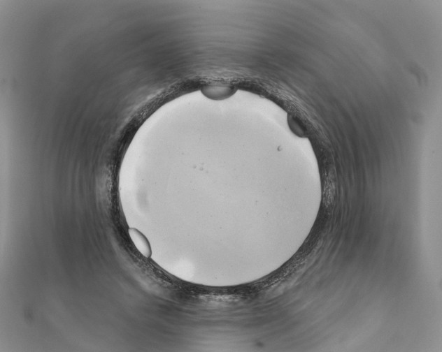 X0000111240448200908131148