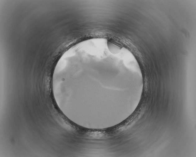X0000111240449200908131148