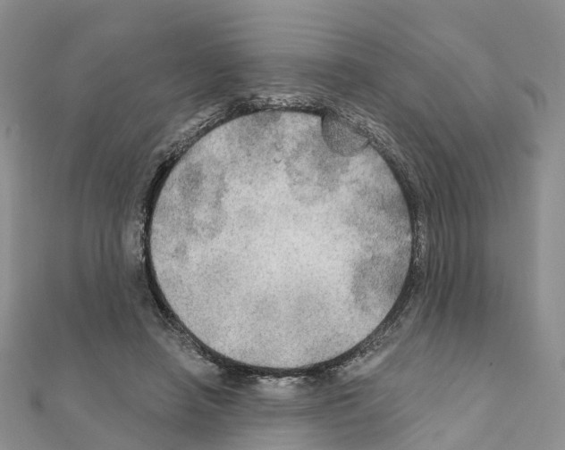 X0000111240450200908131148