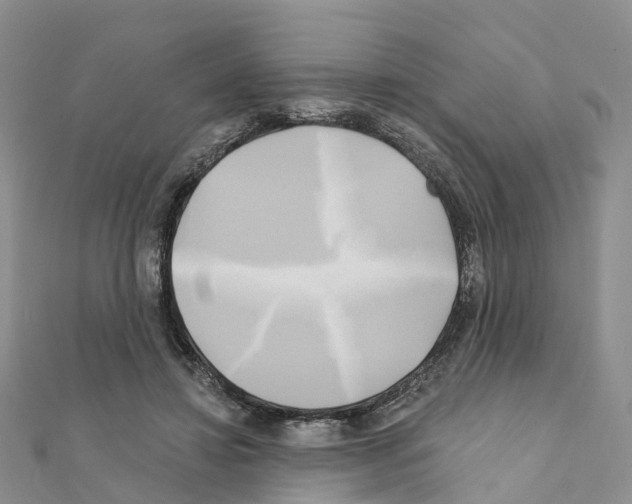 X0000111240452200908131148