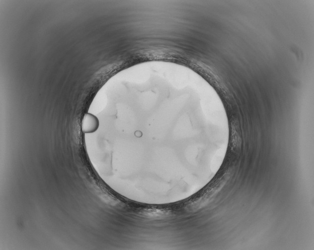 X0000111240453200908131148
