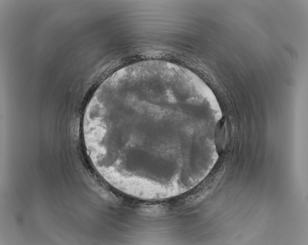 X0000111240454200908131148