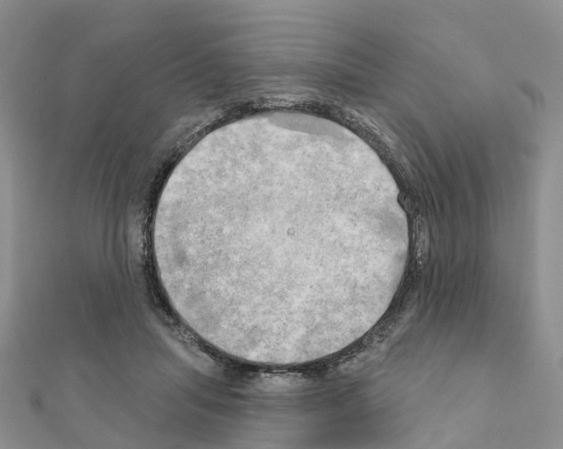 X0000111240455200908131149