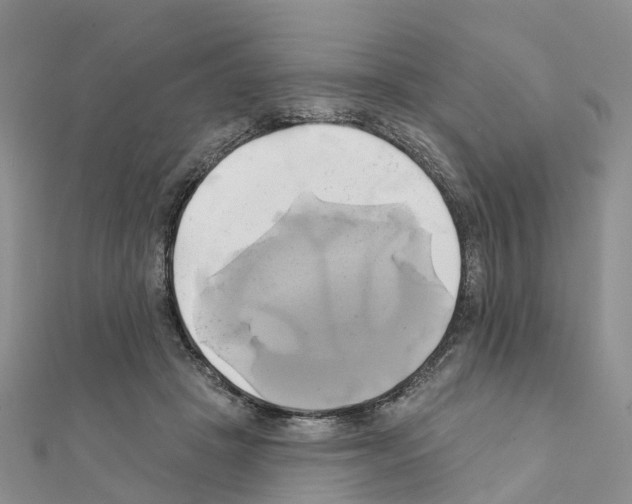X0000111240457200908131149