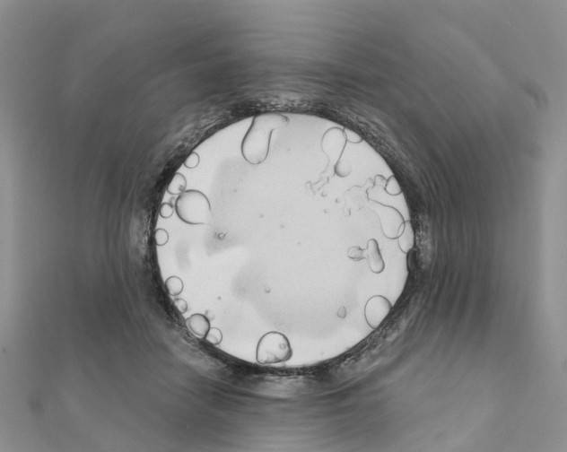 X0000111240458200908131149