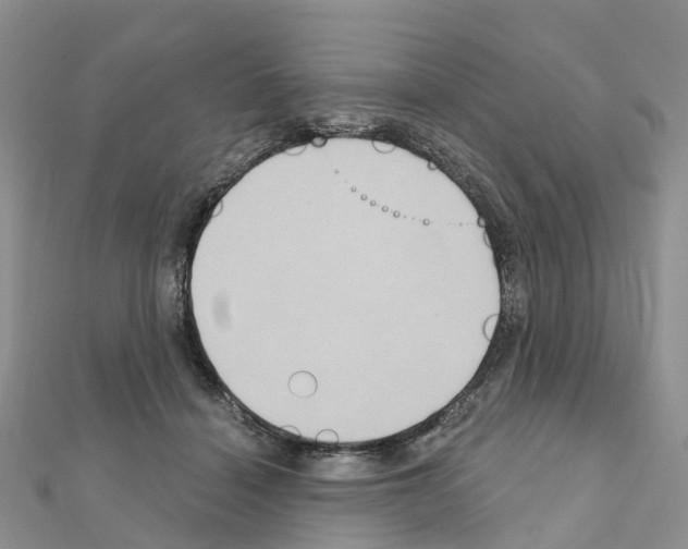 X0000111240460200908131149