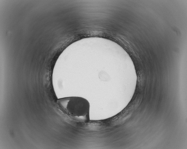 X0000111240462200908131149