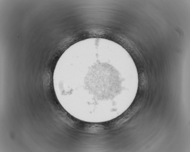 X0000111240463200908131149