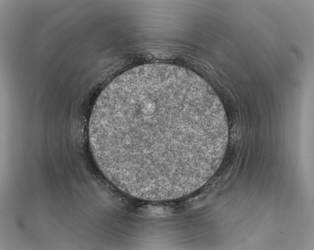 X0000111240464200908131149