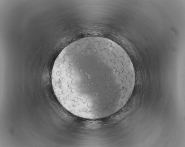 X0000111240465200908131149