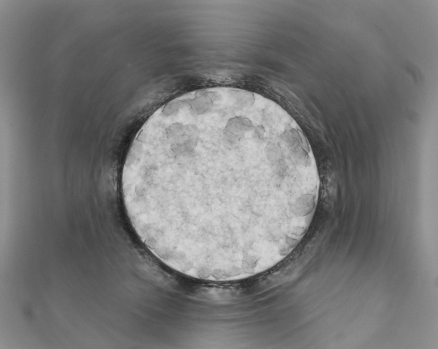 X0000111240466200908131149