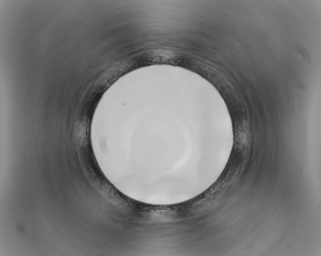 X0000111240468200908131149