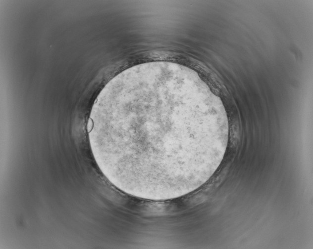 X0000111240473200908131149