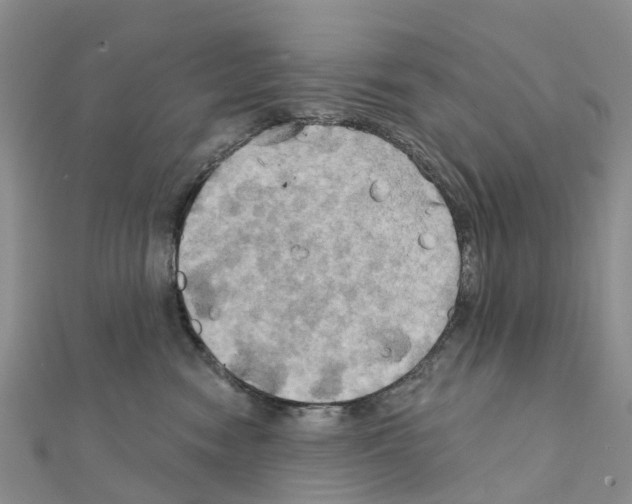 X0000111240474200908131149