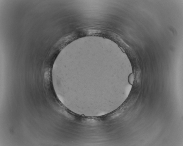 X0000111240475200908131149