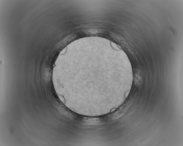 X0000111240476200908131149