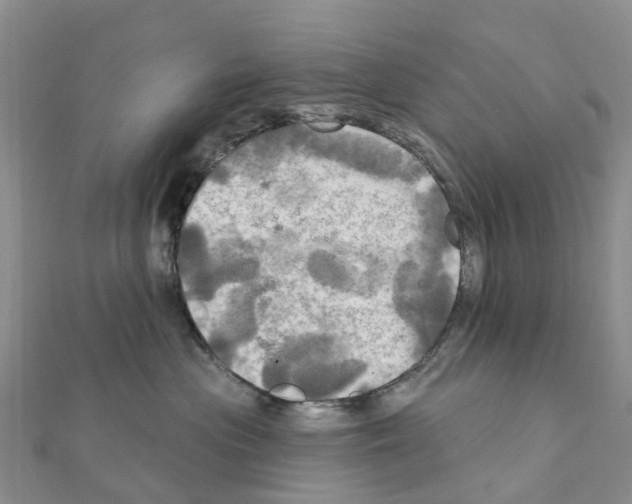 X0000111240477200908131149
