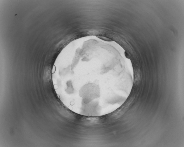 X0000111240478200908131149