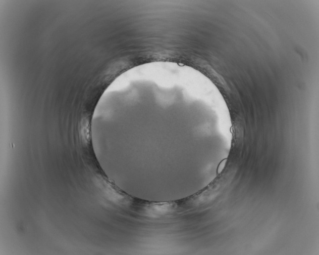 X0000111240479200908131149
