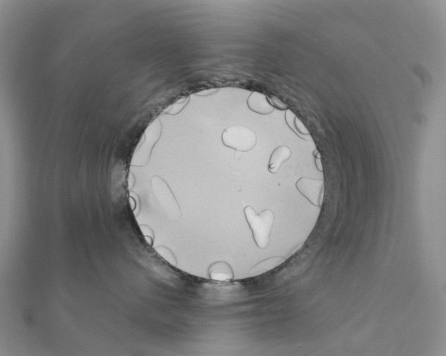 X0000111240480200908131149