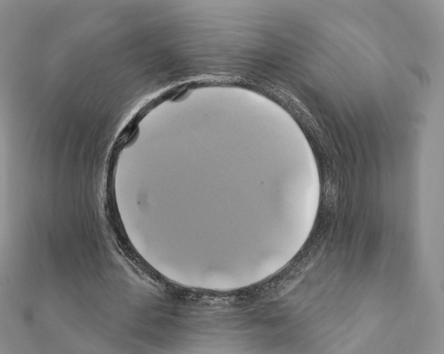 X0000111240484200908131148