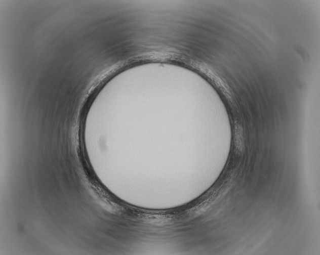 X0000111240486200908131148
