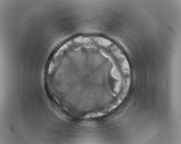 X0000111240487200908131148