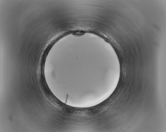 X0000111240488200908131148