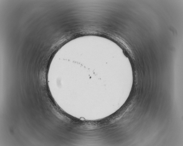X0000111240489200908131148