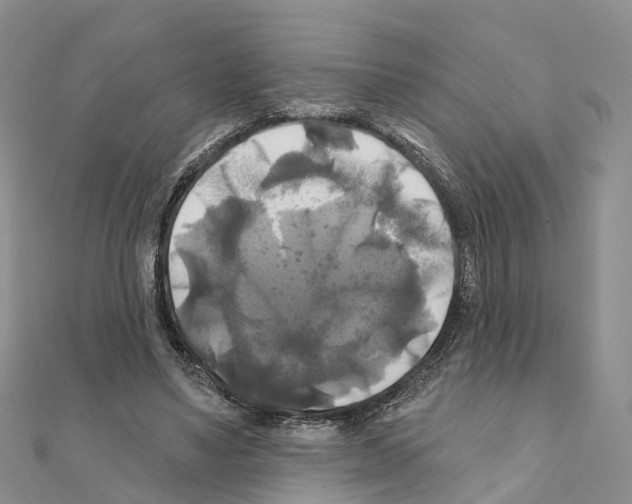 X0000111240491200908131148