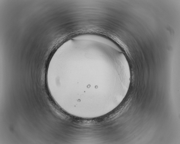 X0000111240493200908131148